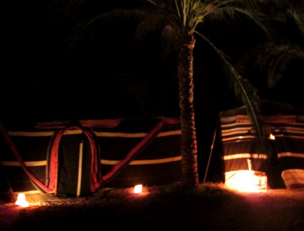 Traditionelle Ziegenhaarzelte mit Palme im Captain's Camp