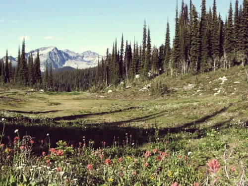 Mount Revelstoke