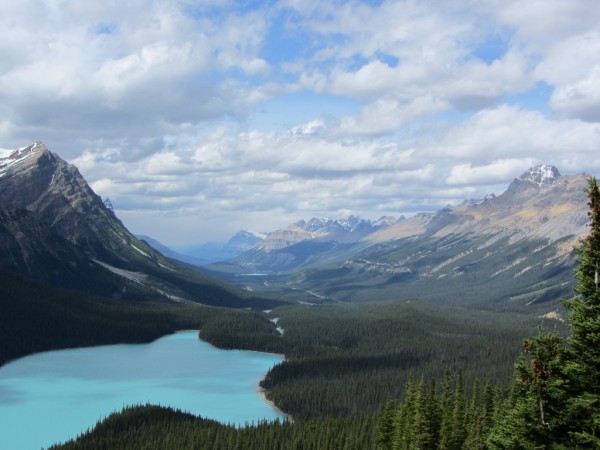 Peyto Lake Viewpoint