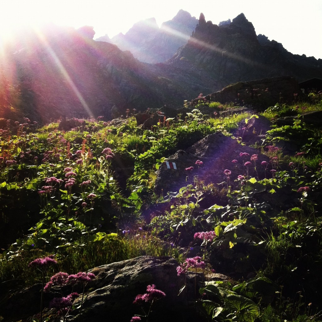 Morgenstimmung an der Tübinger Hütte