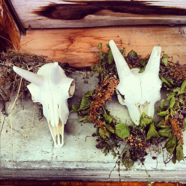 Ein Wander-Wochenende im Montafon