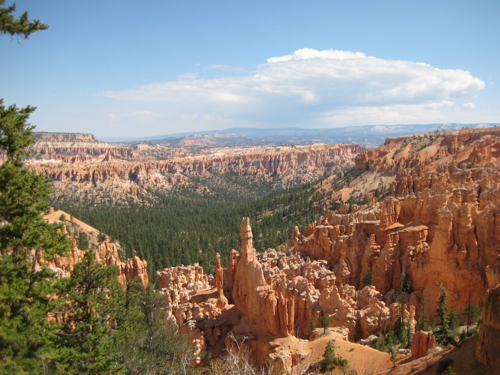 Die roten Türme des Bryce Canyon in Utah