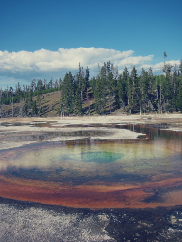 Geothermale Quelle Yellowstone