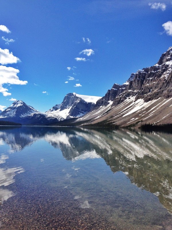 Bow Lake Reflections Kanada Rockies Bow Lake Reflections Kanada Rockies