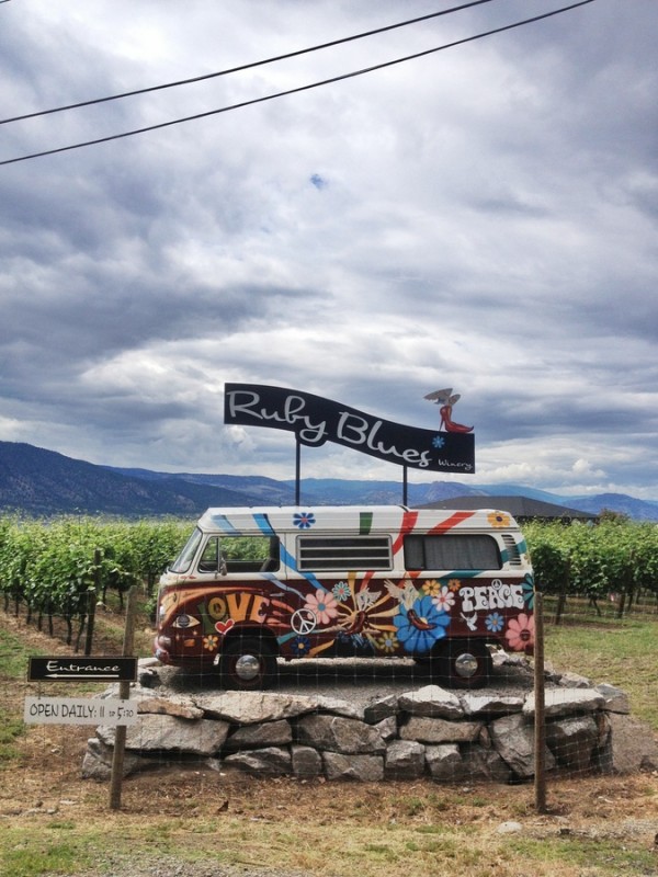 VW Bulli Ruby Blues Winery Penticton Naramata
