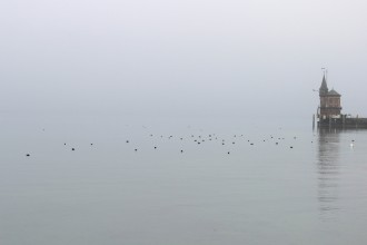 Bodensee im Nebel