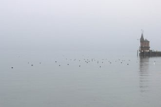 Bodensee im Nebel