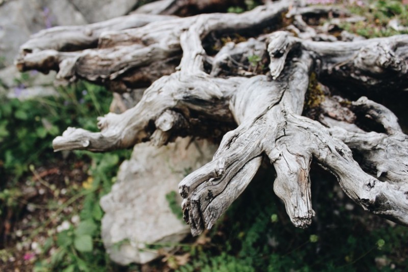 Rundweg um den Eibsee