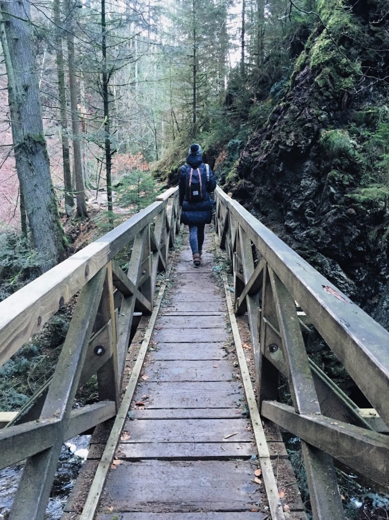 Wanderung Ravennaschlucht Schwarzwald Ausflusgtipp