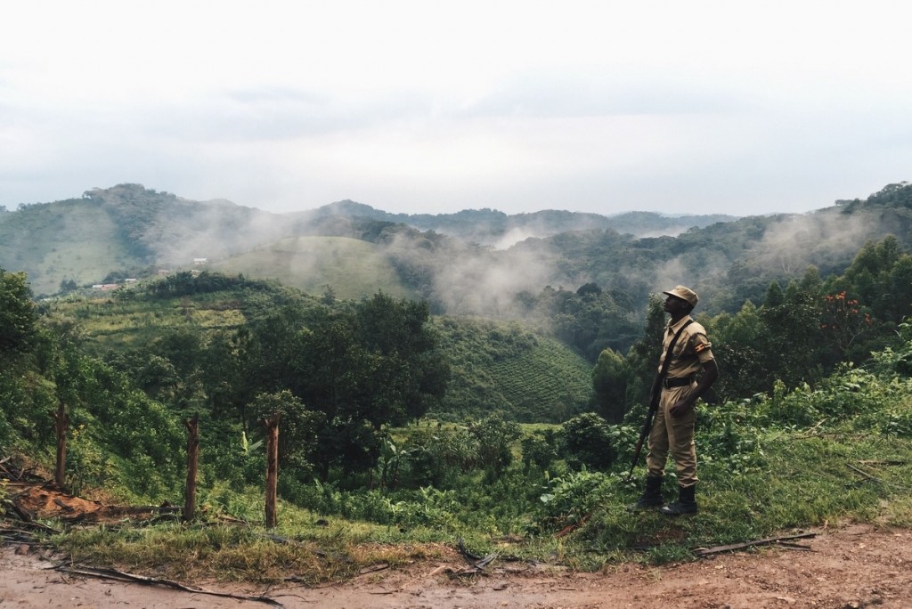 Bwindi Uganda Gorilla Tracking Wache Escort