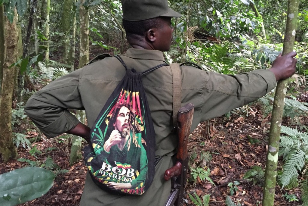 Ranger Gorilla Tracking Uganda Bwindi