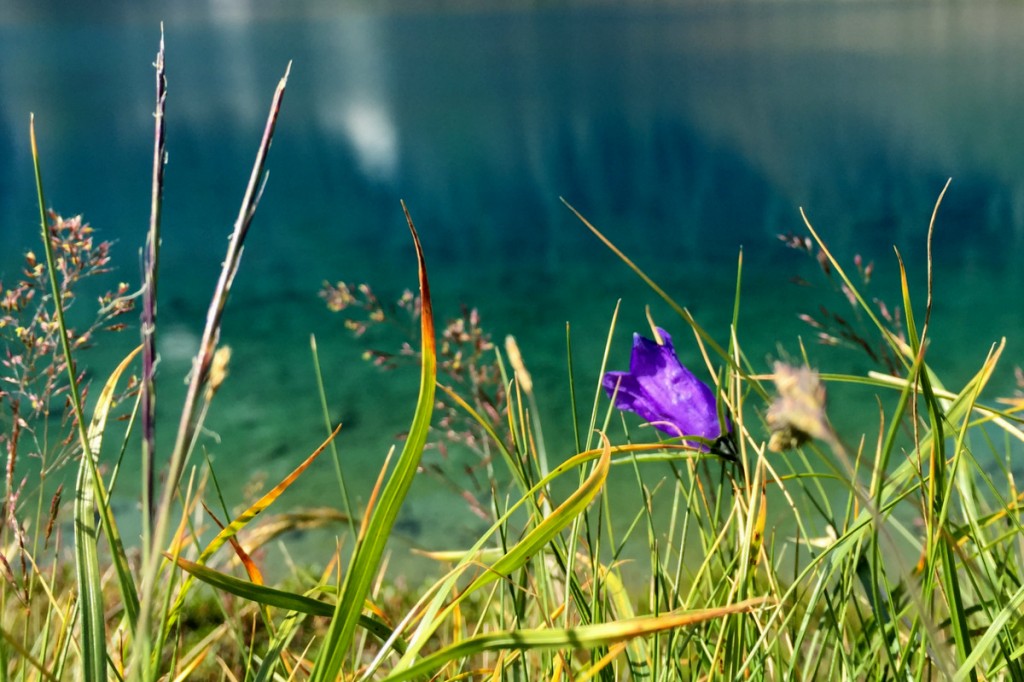 Blaue Lacke Bergsee Stubai