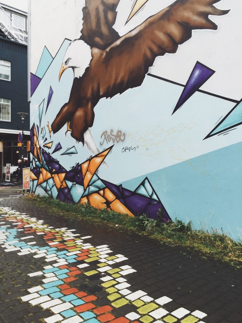 Mural Streetart Reykjavik Laugavegur Vogel