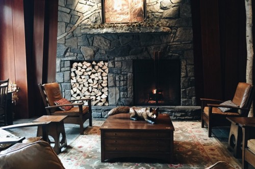 Winterurlaub in Kanada: 8 Winterabenteuer in den Rocky Mountains