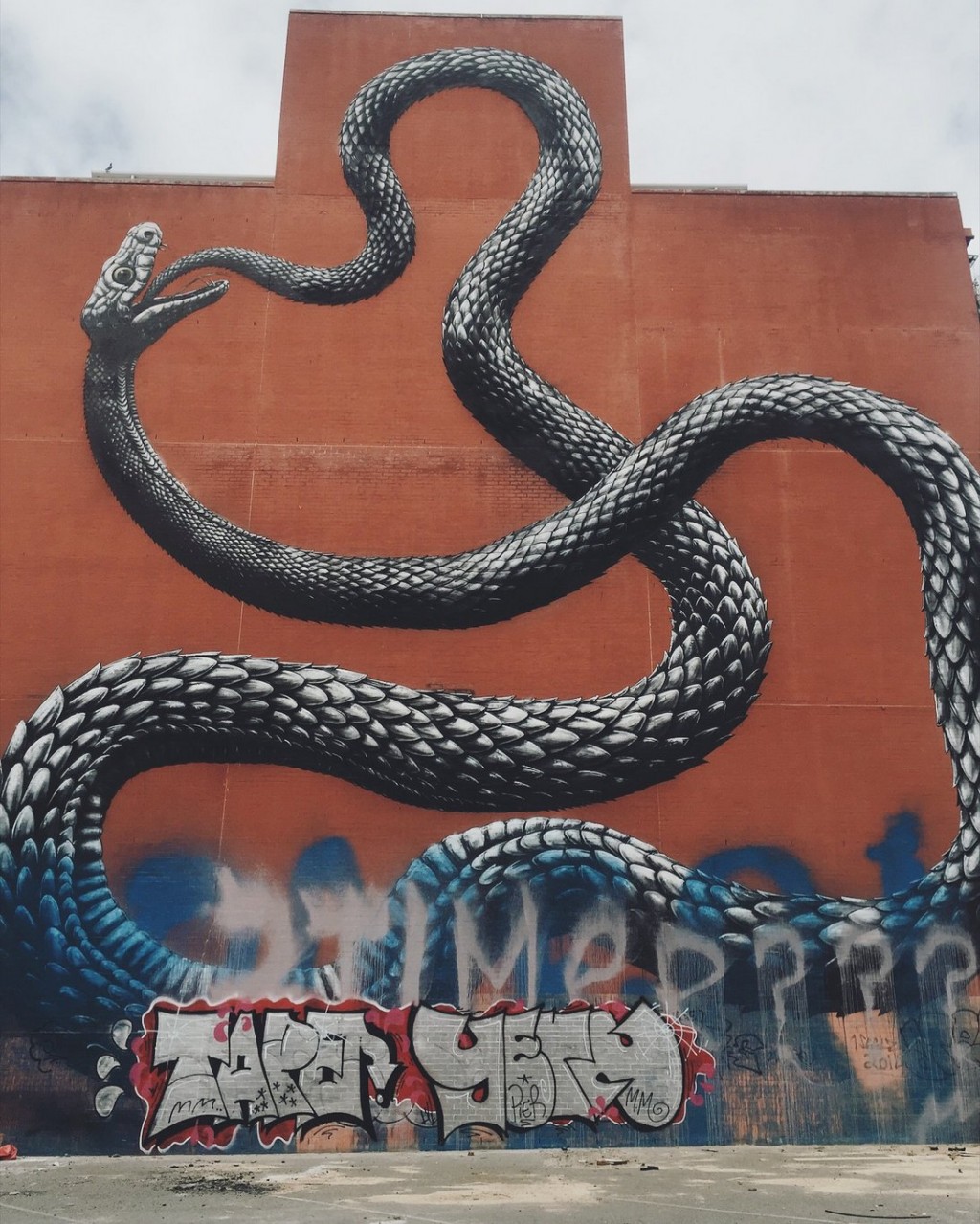 ROA Schlange Streetart Perth Australien