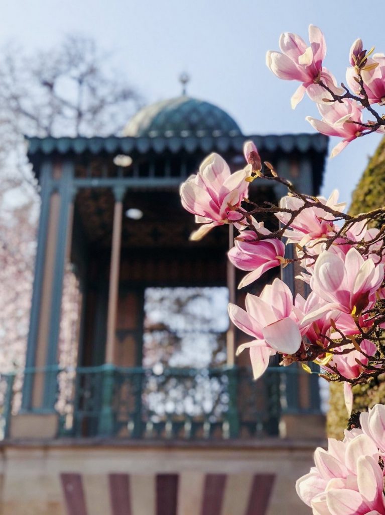 Stuttgart-Wilhelma-maurischer-Garten