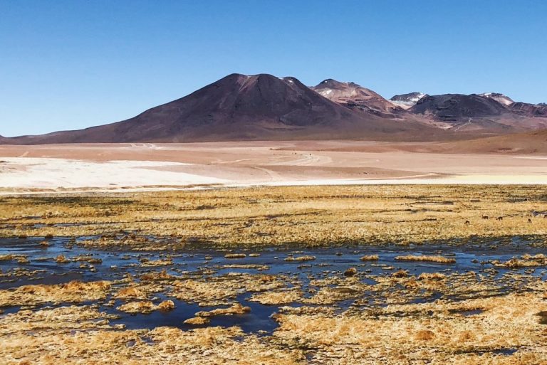 Die Atacama-Wüste in Chile: einsame Mondlandschaften mit Vulkanen, Salzseen und Flamingos