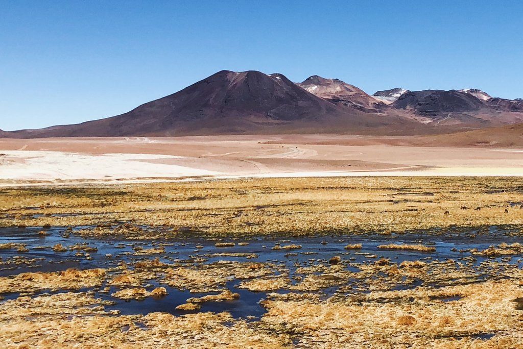 Träum dich in die Ferne: Chile