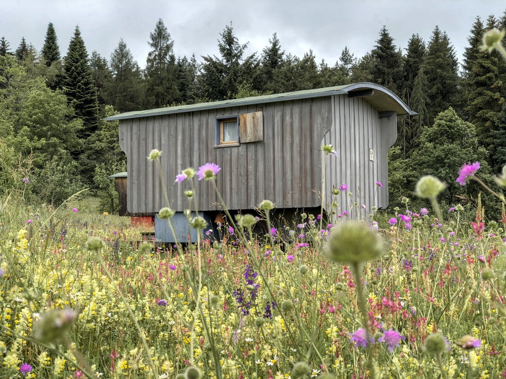 Circusauto Glamping Schwaebische Alb