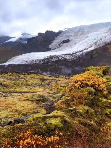 Gletscher Island Skaftafell NP
