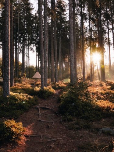 Schwarzwaldcamp am Schluchsee