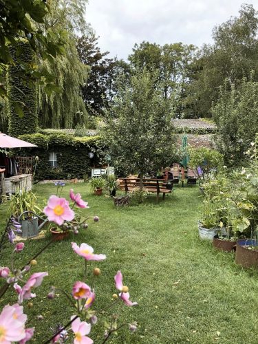 Blumencafe Rügen Garten