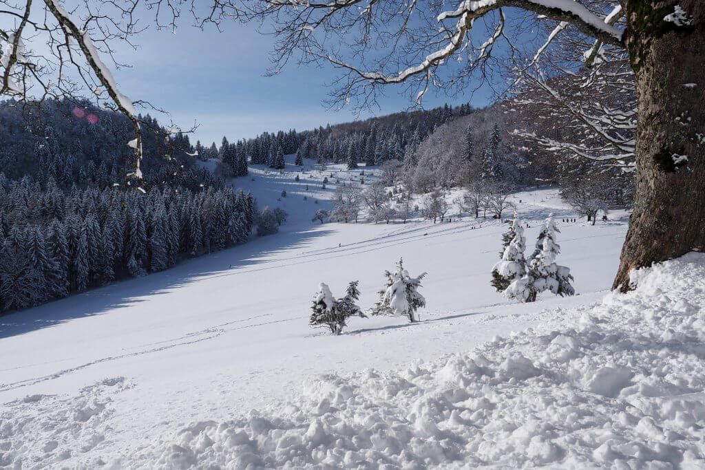 Excursietip winter Schwäbische Alb