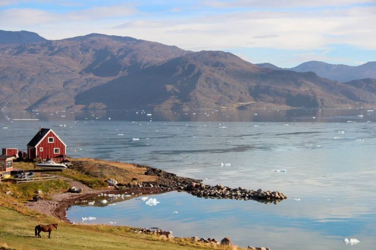 Reise in den Süden Grönlands – Wandern zwischen Fjorden, Gletschern und Wikingerruinen