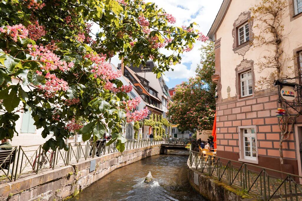 freiburg tourist information freiburg im breisgau deutschland