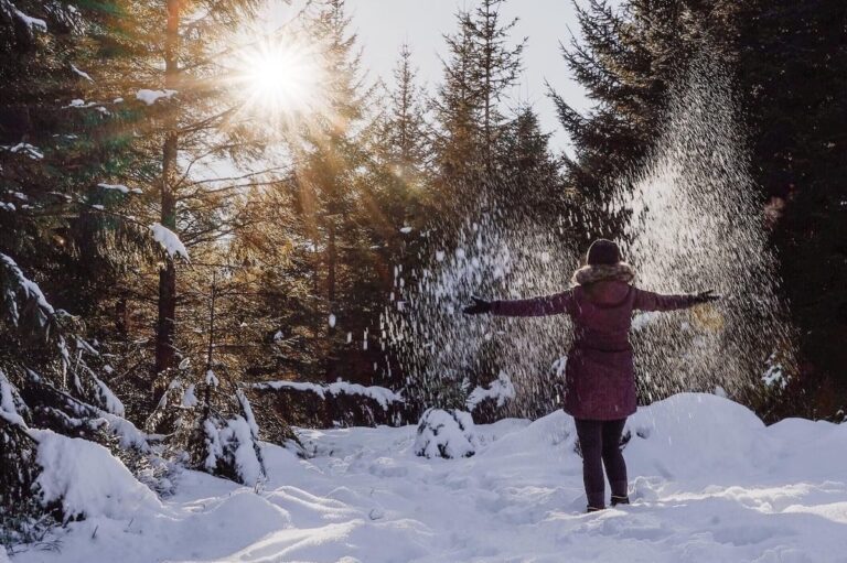 Winterwandern Hohloh Kaltenbronn im nördlichen Schwarzwald