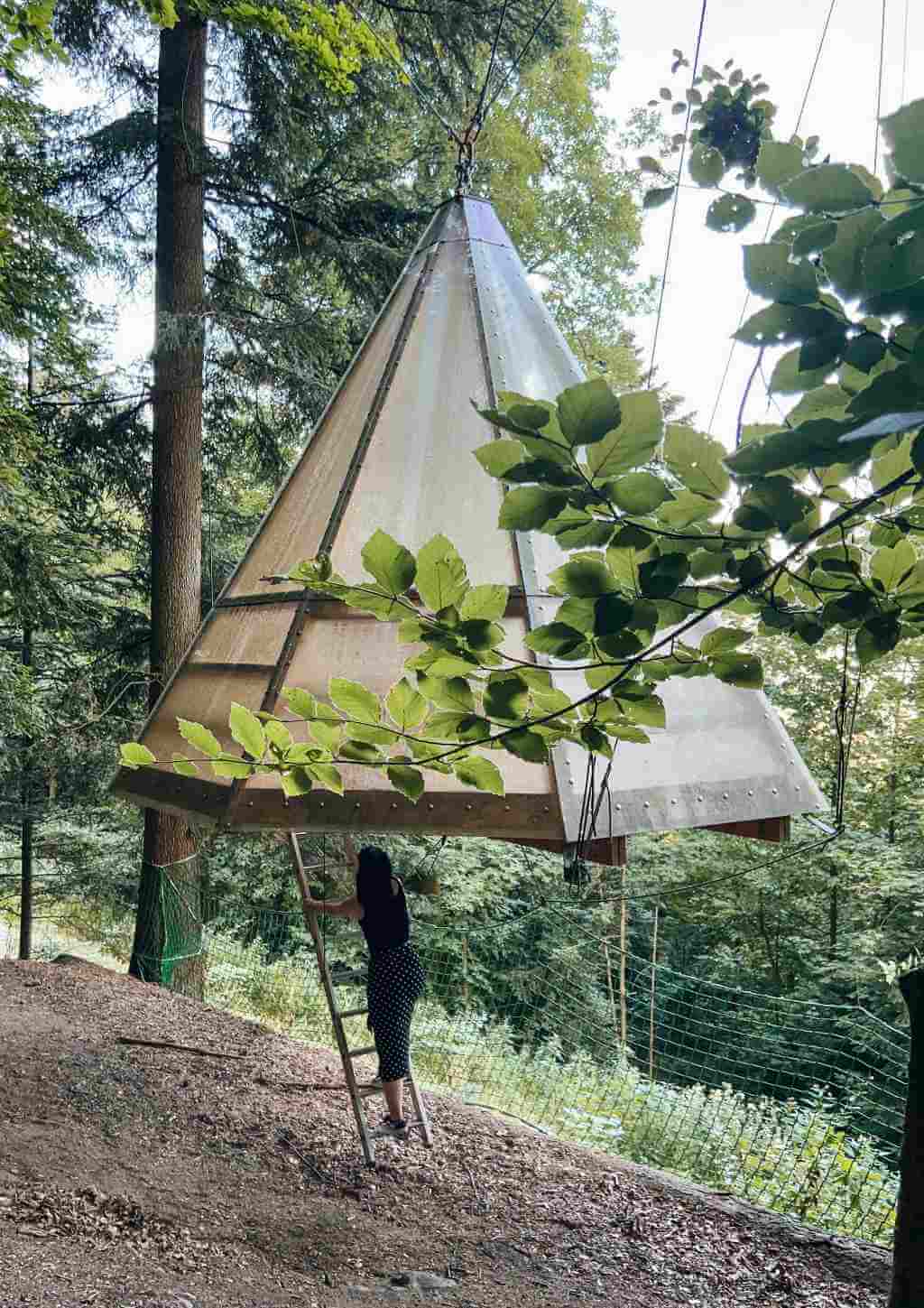 Een boomhut hangt als een drijvende tent in het bos in het noordelijke Zwarte Woud