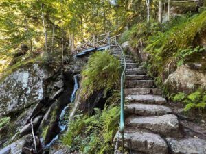 Nordschwarzwald-Tipps: Wanderweg in der Gertelbach-Schlucht