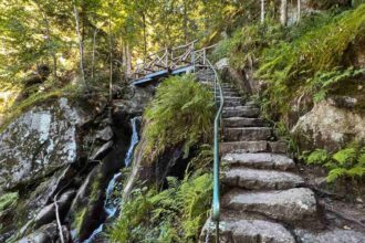 Nordschwarzwald-Tipps: Wanderweg in der Gertelbach-Schlucht