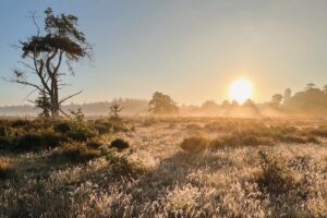 Nationalpark De Hoge Veluwe in Holland – Tipps für eine naturnahe Auszeit