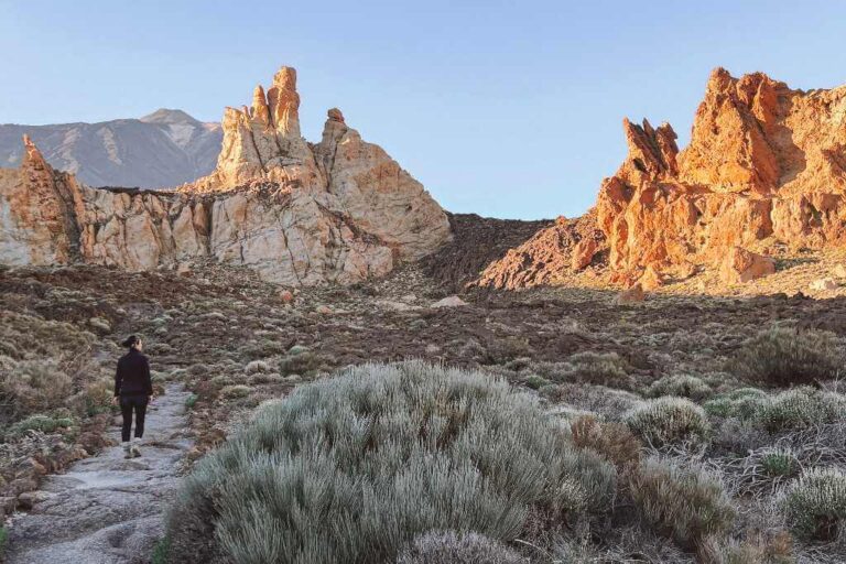 Wandern auf Teneriffa: 6 schöne und einfache Touren