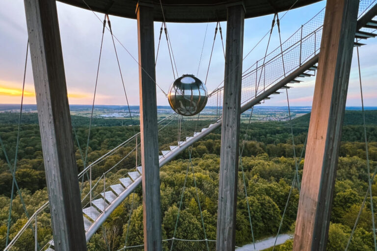 Naturpark Schönbuch: 5 Ausflugstipps in der Region Stuttgart