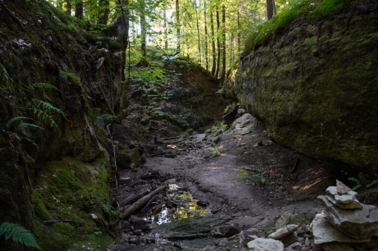 Wandern im Naturpark Schwäbisch-Fränkischer Wald: Bodenbachschlucht, Tobelschlucht, Schelmenklinge