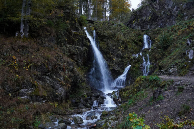 Todtnau im Schwarzwald: 5 Geheimtipps für deinen Ausflug