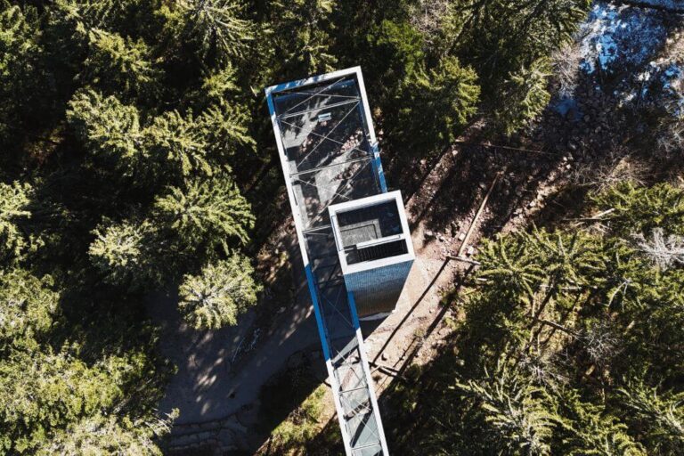 Schwarzwald im Winter: Ausflugstipps im Nationalpark